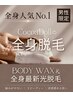 【男性限定】★全身脱毛人気No.1★《全身ボディWAX+最新脱毛》男性¥46,900