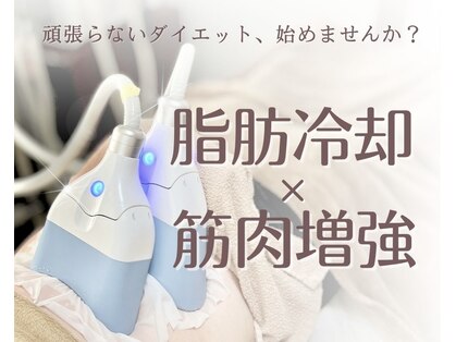 癒しのえんじゅの写真