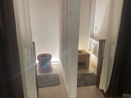 温活サロン-plusoneの写真