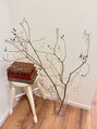 ジョリー(jolie) 季節の植物やお花がお出迎えしてくれます(^^)