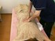 いとう接骨院の写真