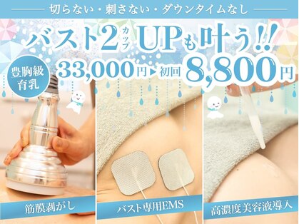 美人バスト 本厚木店の写真