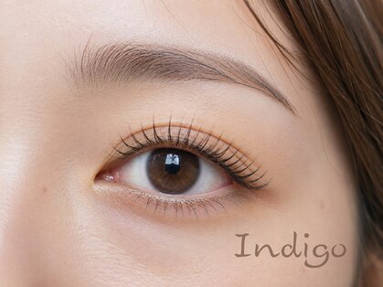 インディゴ(Indigo)の写真