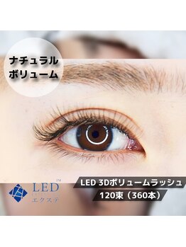 フレイヤ(Freiya)/