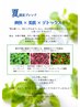 数量限定【夏ハーブ】よもぎ蒸し（40分）+よもぎ茶　6500円⇒5400円
