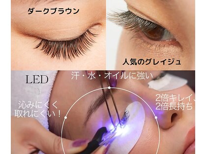 マリー エクランの写真