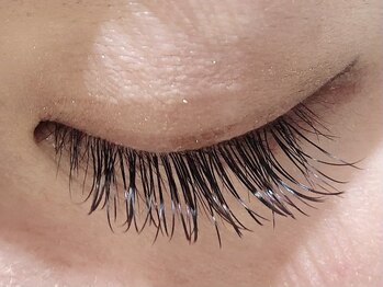 カラン 焼津店(CALIN)/フラットラッシュ140本