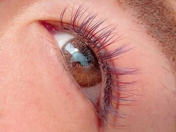 ラピスガーデン(LAPIS GARDEN)/アルファーラッシュ両目100本