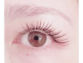 レポ(lepo)/LEDフラットラッシュ120本