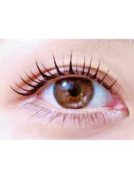 初めての方にオススメ