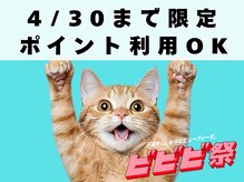 癒し日和の雰囲気(ビビビ祭のポイントは4/30までにご利用ください♪)