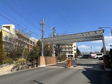 ティユール(TILLEUL)/駐車場出入口