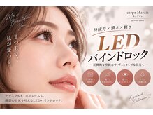 カルプマレ(carpe Marais)の雰囲気(口コミ高評価/一番人気!/LEDバインドロック/遠方からもご来店!)