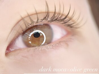 ナイン(NINE)/ダークモカ×オリーブブラウン