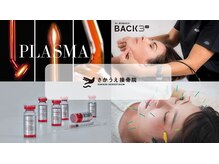 さかうえ接骨院