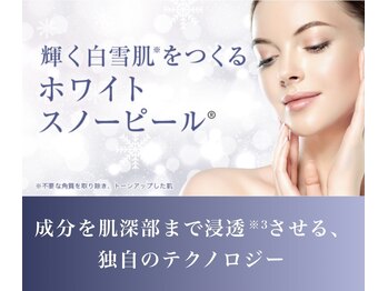 エステティック レイビス 銀座店(RAYVIS)/スノーピール