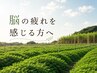 【脳の疲れを感じる方へ】深く緩めるよもぎ蒸し90分 ¥3,000