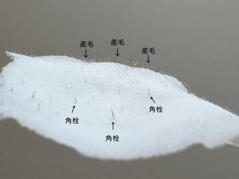 リコ ヘアアンドリラクゼーション(LICO)/フェイスワックス