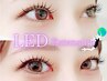 【LEDマツエク】最高級セーブル上付け放題◆1.5倍～2倍の圧倒的な持続力♪