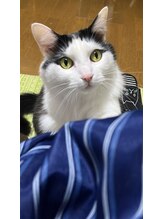 藤田整体院&nbsp;内藤 利惠