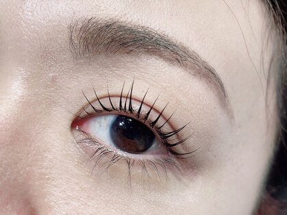 トラック(TRUCK)の写真