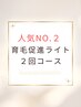 【人気No2ライト お得な２回コース】頭皮診断×毛穴洗浄×育毛促進剤導入