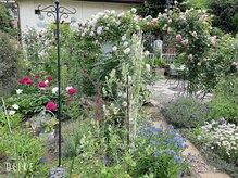 ベル ポ(belle peau)の雰囲気（季節ごとに様々なお花が。来店された際はお庭で目の保養も♪）