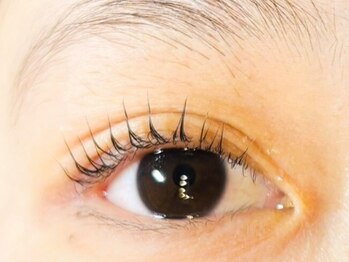 イルファ ビューティー(ehl fa Beauty)の写真/まつげパーマで自まつ毛が伸びた様な自然な仕上がりに♪目の形に合わせたデザインで、自然な目元を演出！