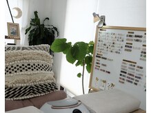 ロンディネ(RONDINE)