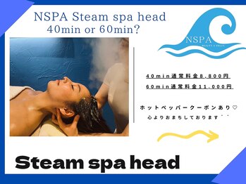 エヌスパ(NSPA)/6 ＮＳＰＡ Steam spa head