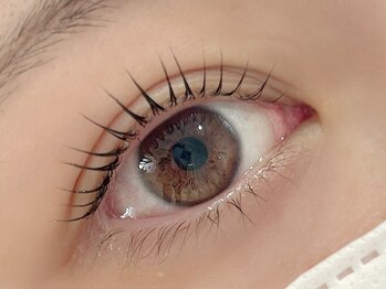 キキ(KIKI)の写真/どんなまつ毛のお悩みにも寄り添い、カウンセリングから施術まで丁寧に行います!お得なセットコースも♪