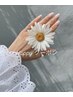 6月限定【HAND】ワンカラー・グラデ・マグネット6000円→4000円