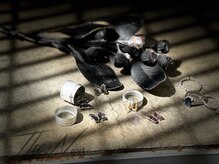 ザネクストシンサイバシ(The Next shinsaibashi)/butterfly