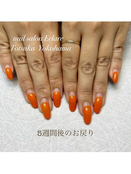 エクラーレ(Eclare)/