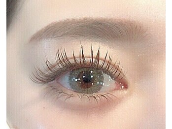 ラピス 横浜西口店(Lapis)/上220本/下60本　カーキブラウン