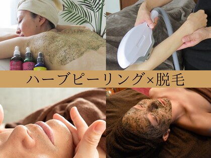 カピリナ(kapilina)の写真