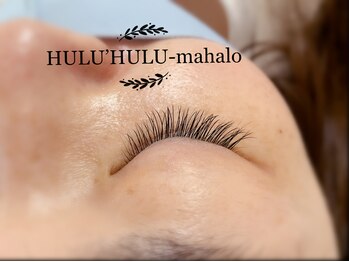 フルフルマハロ(HULU'HULU mahalo)/フラットラッシュ　100本