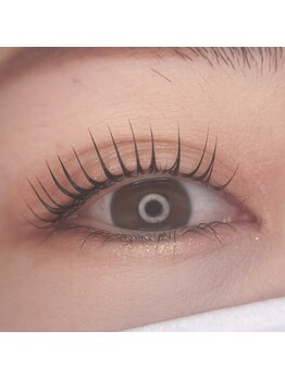 スペリンダ(Splendor)/まつ毛パーマ 奥二重さんLカール