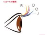おすすめライズカール(Rカール) 50本×50本　45分　6300円