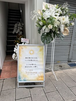 ソルカナ(Solkana)/