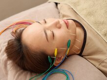 ハリノヒ 本町院/本町/肥後橋/淀屋橋　徒歩10分