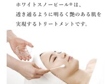 エステティック レイビス 銀座店(RAYVIS)/スノーピール