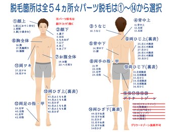 ミンティー 三宮店/都度払い脱毛/男性20パーツ
