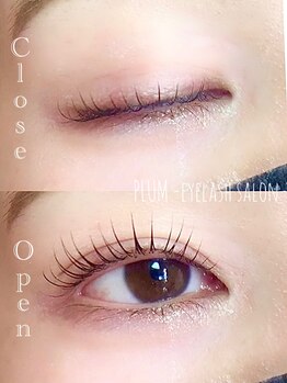 プラム(PLUM)/PLUM lash lift
