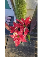 ミホズルーム(Miho‘s room)/赤いお花が目印