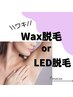 【女性限定】わき脱毛　3,500円( Wax脱毛 or LED脱毛 )