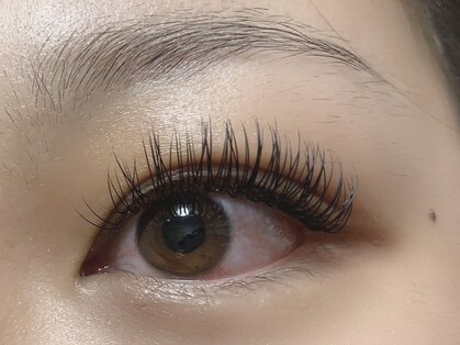 シルム(silm)の写真