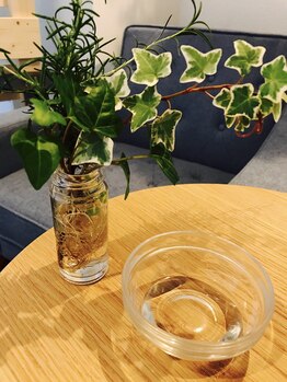 ニコカ(nicoca)/キャリアオイル