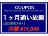 【1ヶ月通い放題】1ヶ月のみも◎LED照射 8分×2回　¥11000