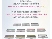 シーアンドコー(C&co.)